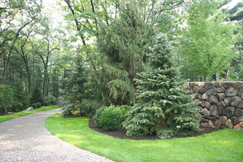 Screen Planting with Stone Wall and Cobblestone Driveway by New View
