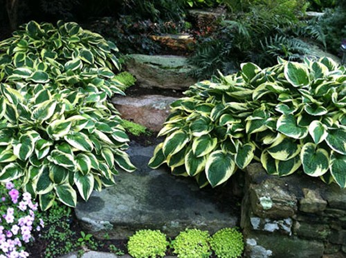 Natural Stone Steps and Landscape Design by New View