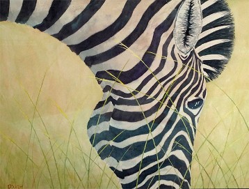 Zebra, Watercolor by Doug DeWolfe of New View