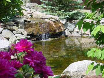Natural Pond with Waterfall by New View