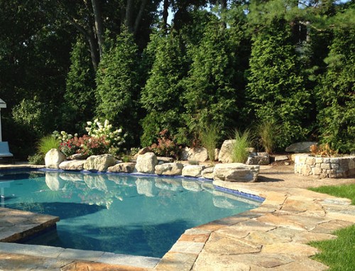 Privacy Planting, Pool with Stone Deck and Boulder Coping