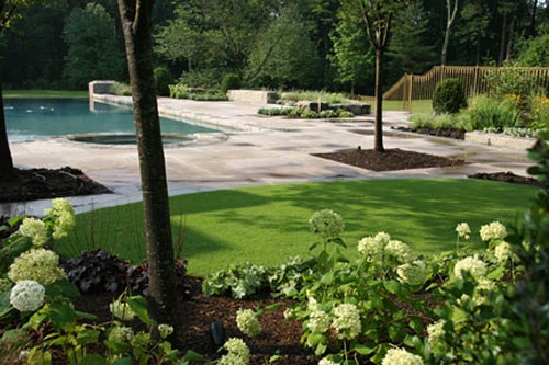 Infinity Edge Pool, Landscape with Bent Grass and Travertine Patio