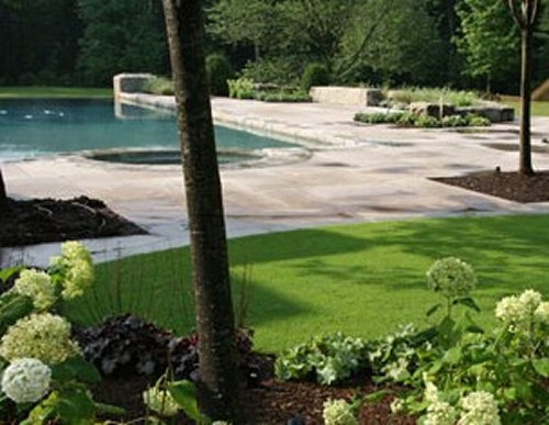 Infinity Edge Pool, Stone Patio& Bent Grass Landscape