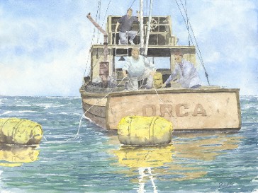 Orca, Watercolor by Doug DeWolfe