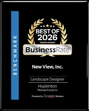 New View, Inc. Best of 2026_BusinessRate New View, Inc. Best of 2026_BusinessRate